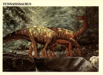 Yunnanosaurus