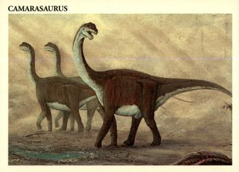 Camarasaurus