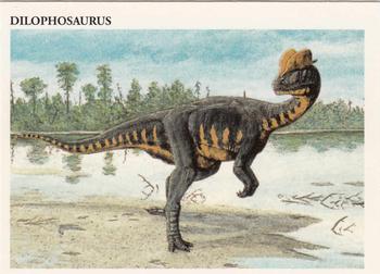 Dilophosaurus