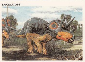 Triceratops