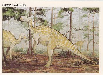 Gryposaurus