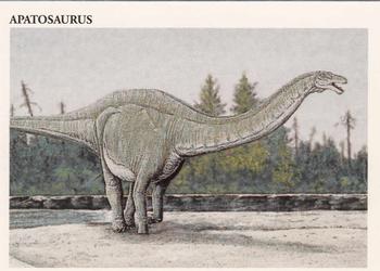 Apatosaurus