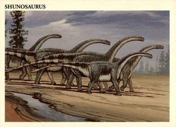 Shunosaurus