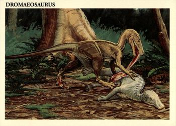 Dromaeosaurus
