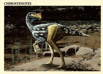 Chirostenotes