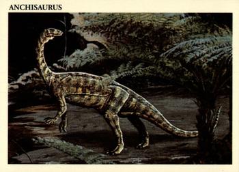 Anchisaurus