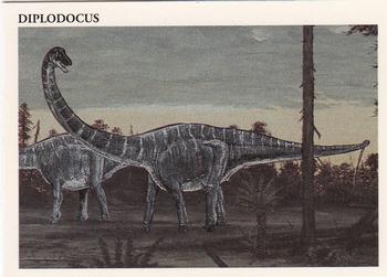 Diplodocus