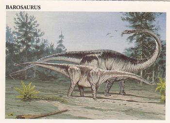 Barosaurus