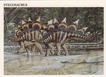Stegosaurus