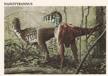 Nanotyrannus