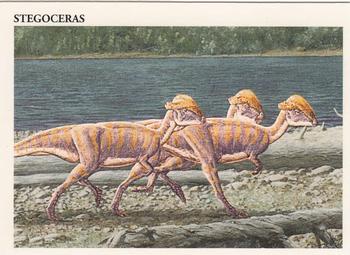 Stegoceras