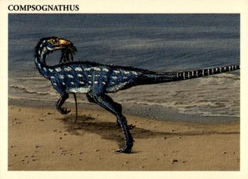 Compognathus
