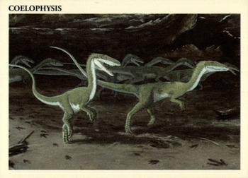 Coelophysis