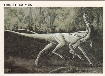 Ornithomimus