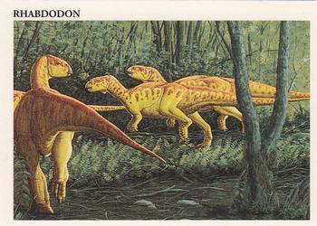 Rhabdodon
