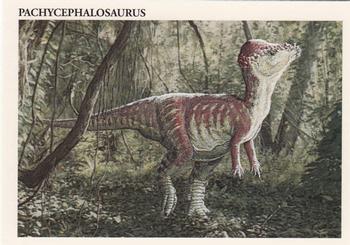Pachycephalosaurus