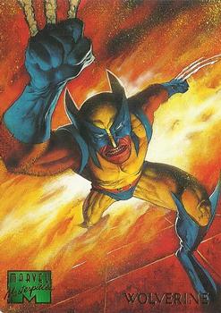 Wolverine