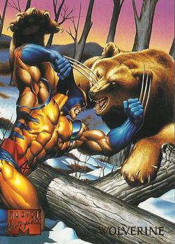 Wolverine