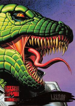 Lizard