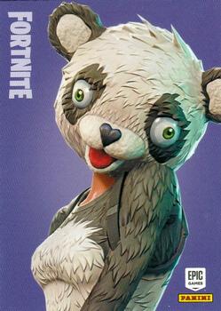 P.A.N.D.A. Team Leader