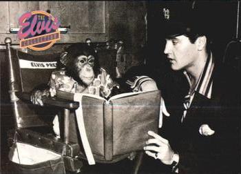 So you think Michael Jackson is the only music...