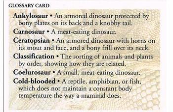 Glossary A-E