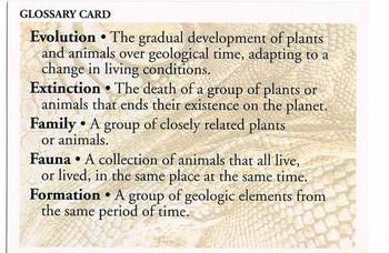 Glossary E-I