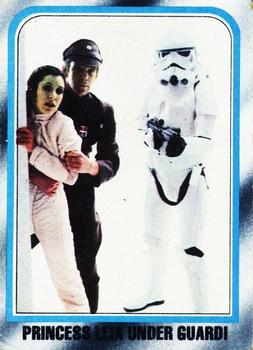Princess Leia Under Guard!