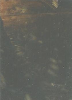 Phantom Of Wildwood