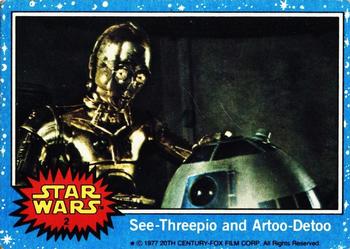 See-Threepio and Artoo-Detoo 
