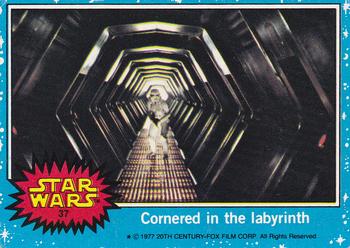 Cornered in the labyrinth 