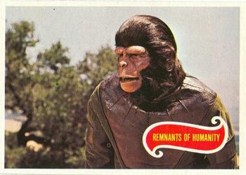Remnants of Humanity