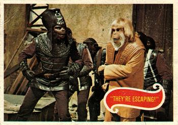 "They're Escaping!"