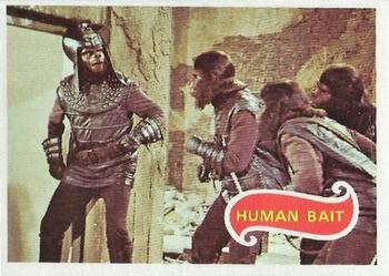 Human Bait