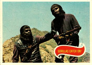 Gorillas Catch On!