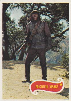 Frightful Visage 