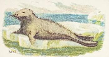 Seal