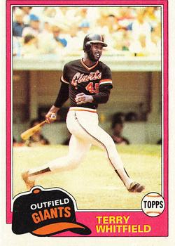 Terry Whitfield