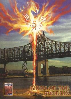 Birth of the Phoenix