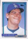 Steve Wilson