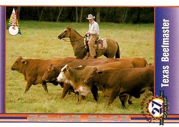 Texas Beefmaster 