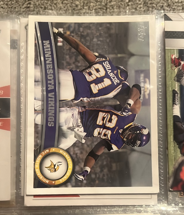 Minnesota Vikings