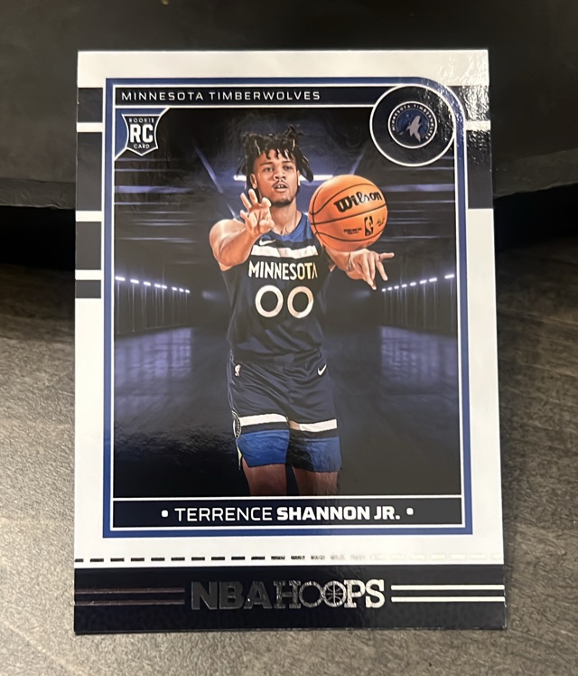 Terrence Shannon Jr. (Minnesota Timberwolves)