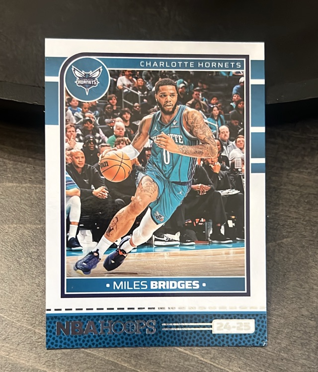 Miles Bridges (Charlotte Hornets)