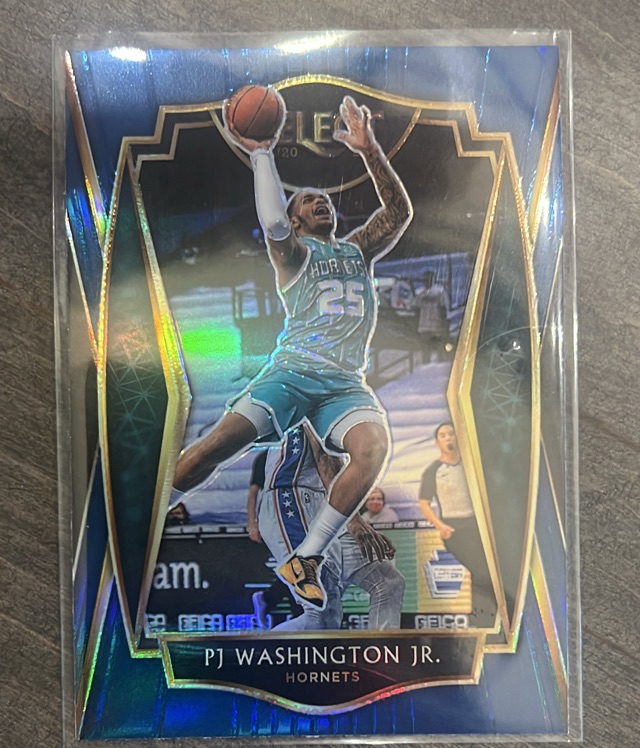 PJ Washington Jr. (Charlotte Hornets)