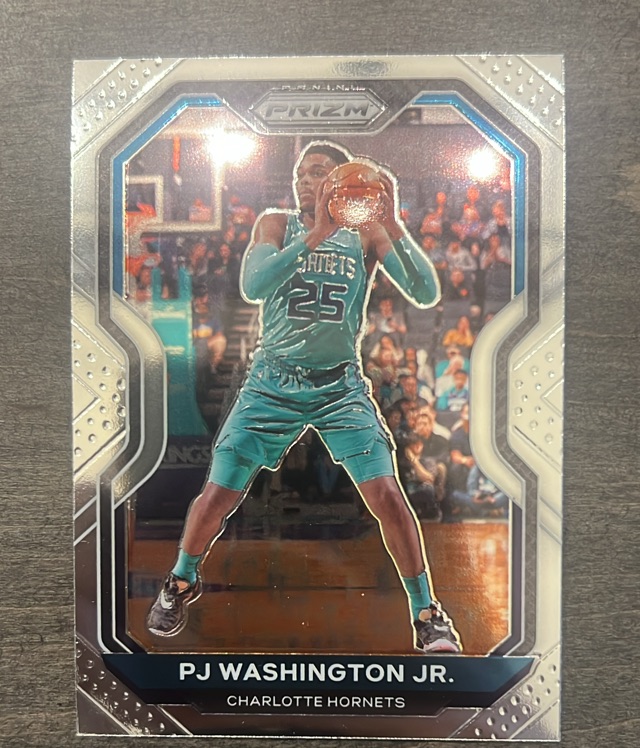 PJ Washington Jr. (Charlotte Hornets)