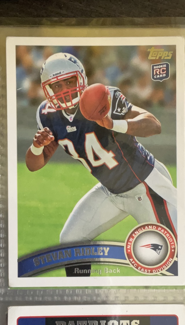Stevan Ridley (New England Patriots)