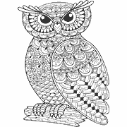 A coloring page of an owl with lots of patterns. Coloring Page icon birds_216