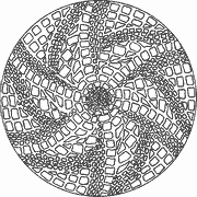 Intricate Geometric Mandala Design coloring page