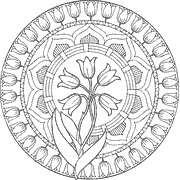 Circular floral mandala with tulip design coloring page